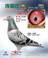 图片暂时未上传