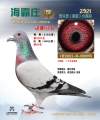 图片暂时未上传
