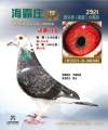 图片暂时未上传