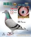 图片暂时未上传