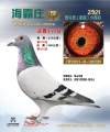 图片暂时未上传