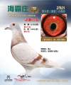 图片暂时未上传