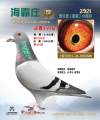 图片暂时未上传