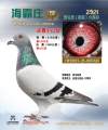 图片暂时未上传