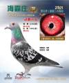 图片暂时未上传