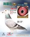 图片暂时未上传