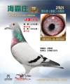 图片暂时未上传