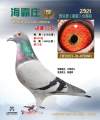 图片暂时未上传