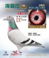 图片暂时未上传