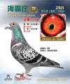图片暂时未上传