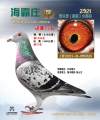 图片暂时未上传