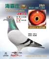 图片暂时未上传