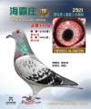 图片暂时未上传