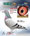 图片暂时未上传