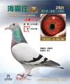 图片暂时未上传