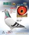 图片暂时未上传