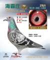 图片暂时未上传