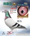 图片暂时未上传