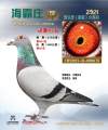图片暂时未上传