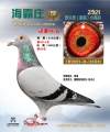 图片暂时未上传