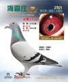 图片暂时未上传