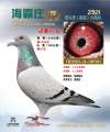图片暂时未上传