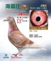 图片暂时未上传