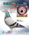 图片暂时未上传