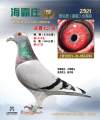 图片暂时未上传