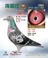 图片暂时未上传