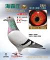 图片暂时未上传