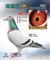 图片暂时未上传