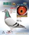 图片暂时未上传