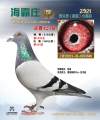 图片暂时未上传