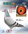 图片暂时未上传