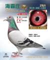 图片暂时未上传