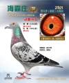 图片暂时未上传