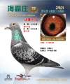 图片暂时未上传