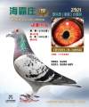 图片暂时未上传