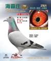 图片暂时未上传