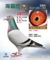 图片暂时未上传