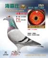 图片暂时未上传