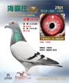 图片暂时未上传