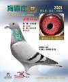 图片暂时未上传