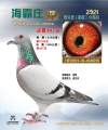 图片暂时未上传