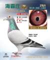 图片暂时未上传