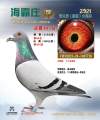 图片暂时未上传