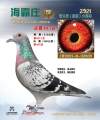 图片暂时未上传