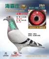 图片暂时未上传