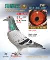 图片暂时未上传